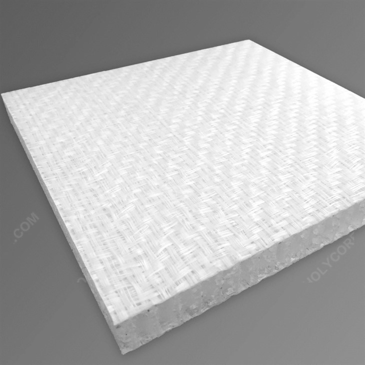 Customizable Glass Fiber Reinforced PP Honeycomb Panel for Reusable Building Concrete Formwork